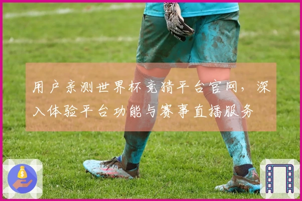 用户亲测世界杯竞猜平台官网，深入体验平台功能与赛事直播服务