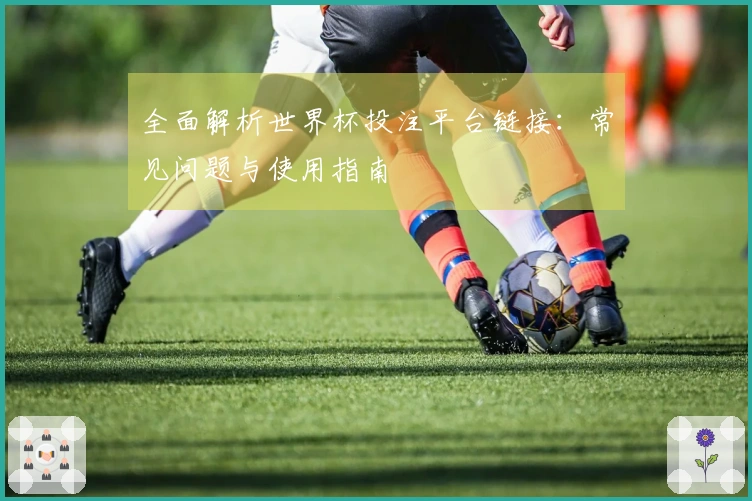 全面解析世界杯投注平台链接：常见问题与使用指南