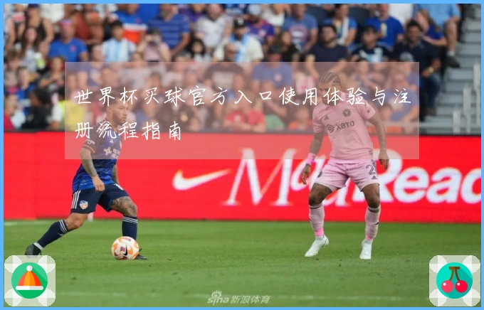 世界杯买球官方入口使用体验与注册流程指南