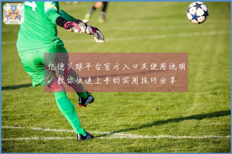 亿德买球平台官方入口及使用说明，教你快速上手的实用技巧分享