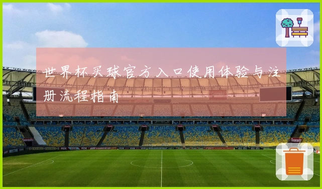 世界杯买球官方入口使用体验与注册流程指南