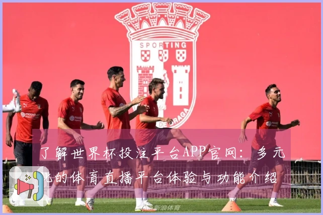 了解世界杯投注平台APP官网：多元化的体育直播平台体验与功能介绍