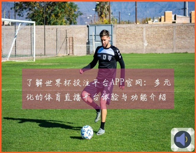 了解世界杯投注平台APP官网：多元化的体育直播平台体验与功能介绍