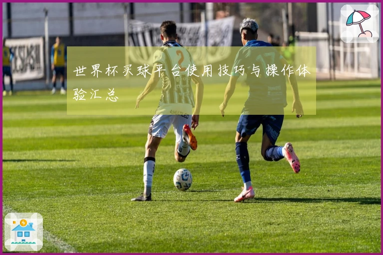 世界杯买球平台使用技巧与操作体验汇总