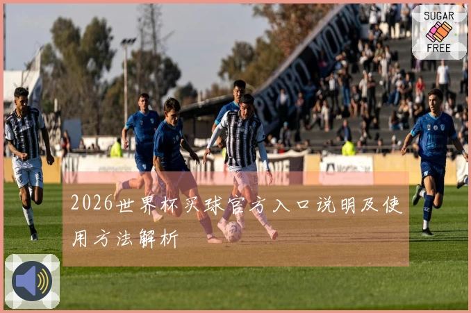 2026世界杯买球官方入口说明及使用方法解析