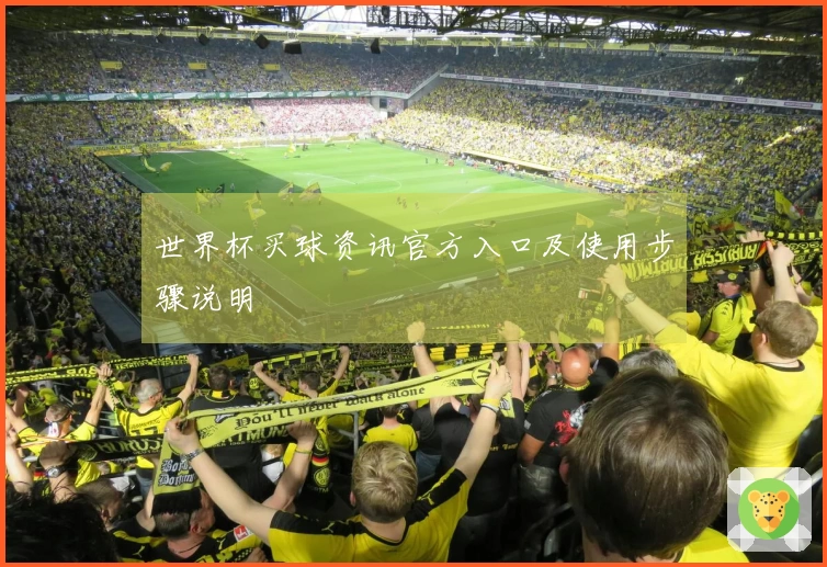 世界杯买球资讯官方入口及使用步骤说明