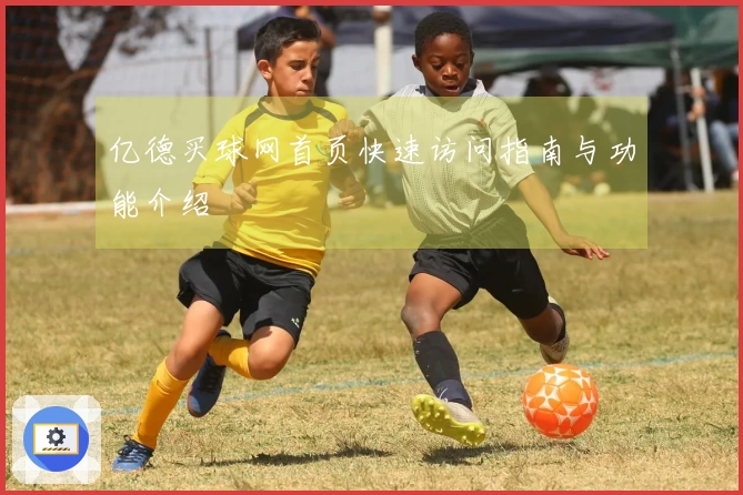 亿德买球网首页快速访问指南与功能介绍