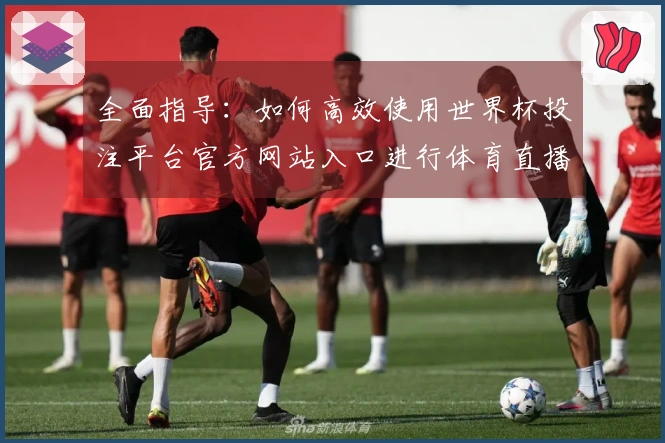 全面指导：如何高效使用世界杯投注平台官方网站入口进行体育直播观看