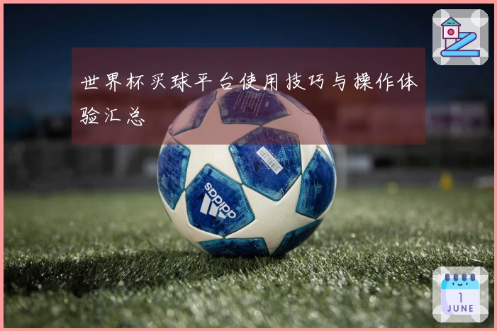 世界杯买球平台使用技巧与操作体验汇总