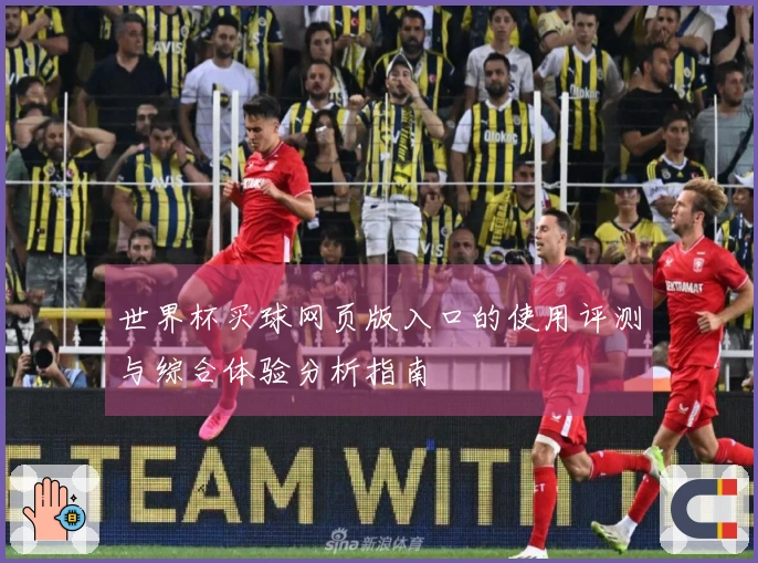 世界杯买球网页版入口的使用评测与综合体验分析指南