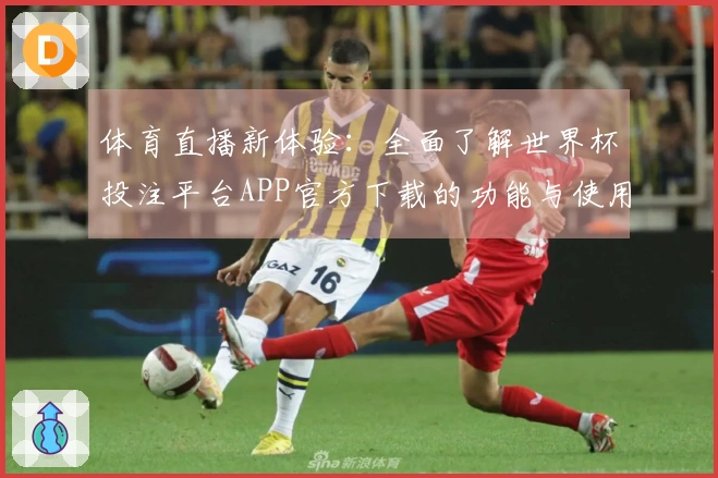 体育直播新体验：全面了解世界杯投注平台APP官方下载的功能与使用场景