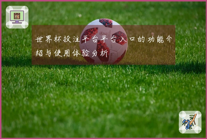 世界杯投注平台平台入口的功能介绍与使用体验分析