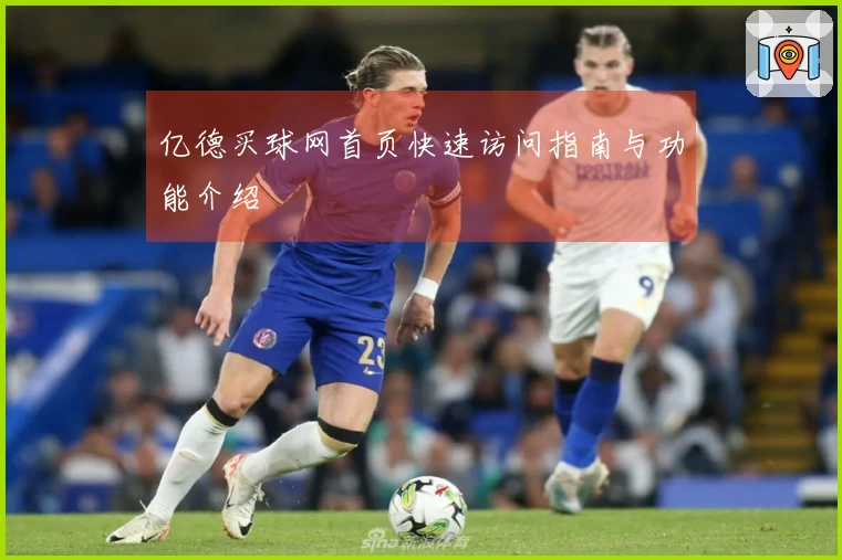 亿德买球网首页快速访问指南与功能介绍