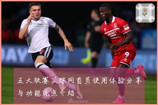 五大联赛买球网首页使用体验分享与功能亮点介绍