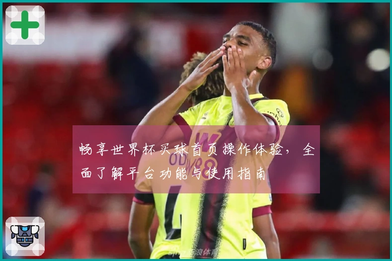 畅享世界杯买球首页操作体验,全面了解平台功能与使用指南