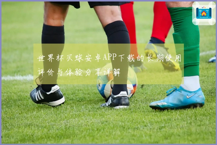 世界杯买球安卓APP下载的长期使用评价与体验分享详解