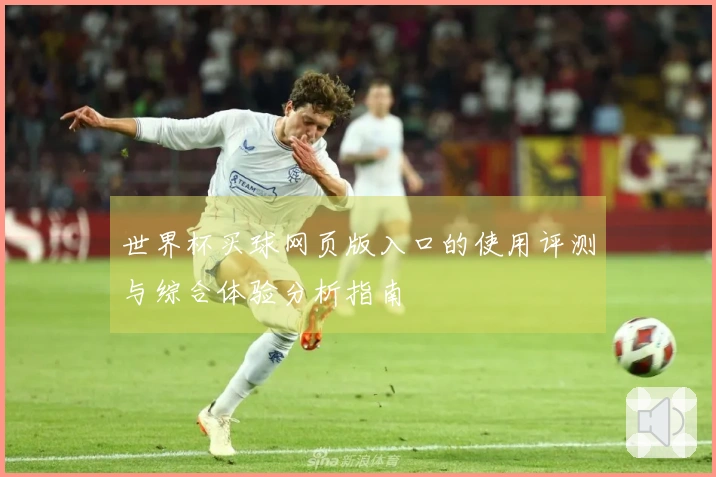 世界杯买球网页版入口的使用评测与综合体验分析指南