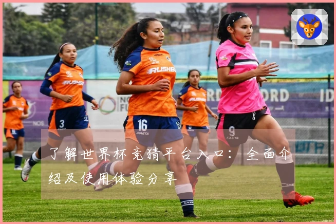 了解世界杯竞猜平台入口：全面介绍及使用体验分享